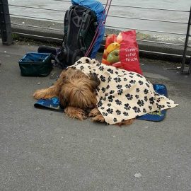 Nikolaus für Obdachlose und ihre vierbeinigen Freunde Nikolaus für Obdachlose und ihre vierbeinigen Freunde