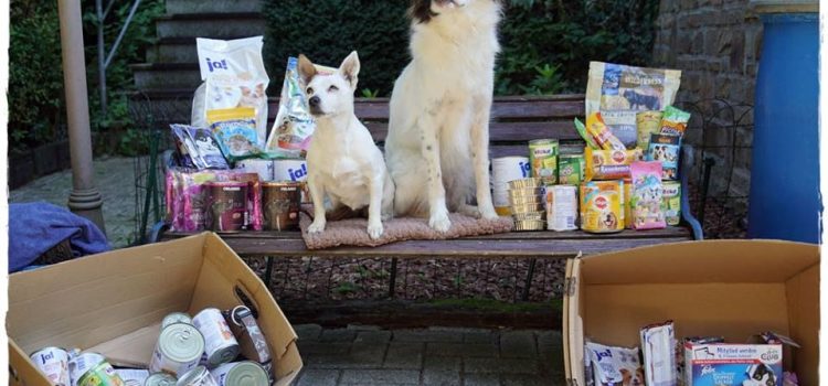 HUNDE IN NOT OSTBELGIEN VoG